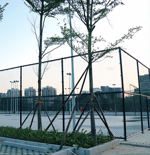 南宁高新区心圩江公园环境整治重建，打造成一个漂亮的生态公园，工程进度几何？
