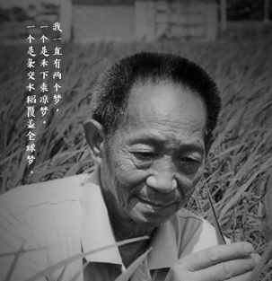 “杂交水稻之父”、“共和国勋章”获得者袁隆平，因多器官功能衰竭，于2021年5月22日13时07分在长沙逝世，享年91岁